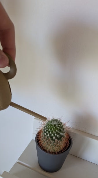 Mini Gießkanne( für kleine Pflanzen )