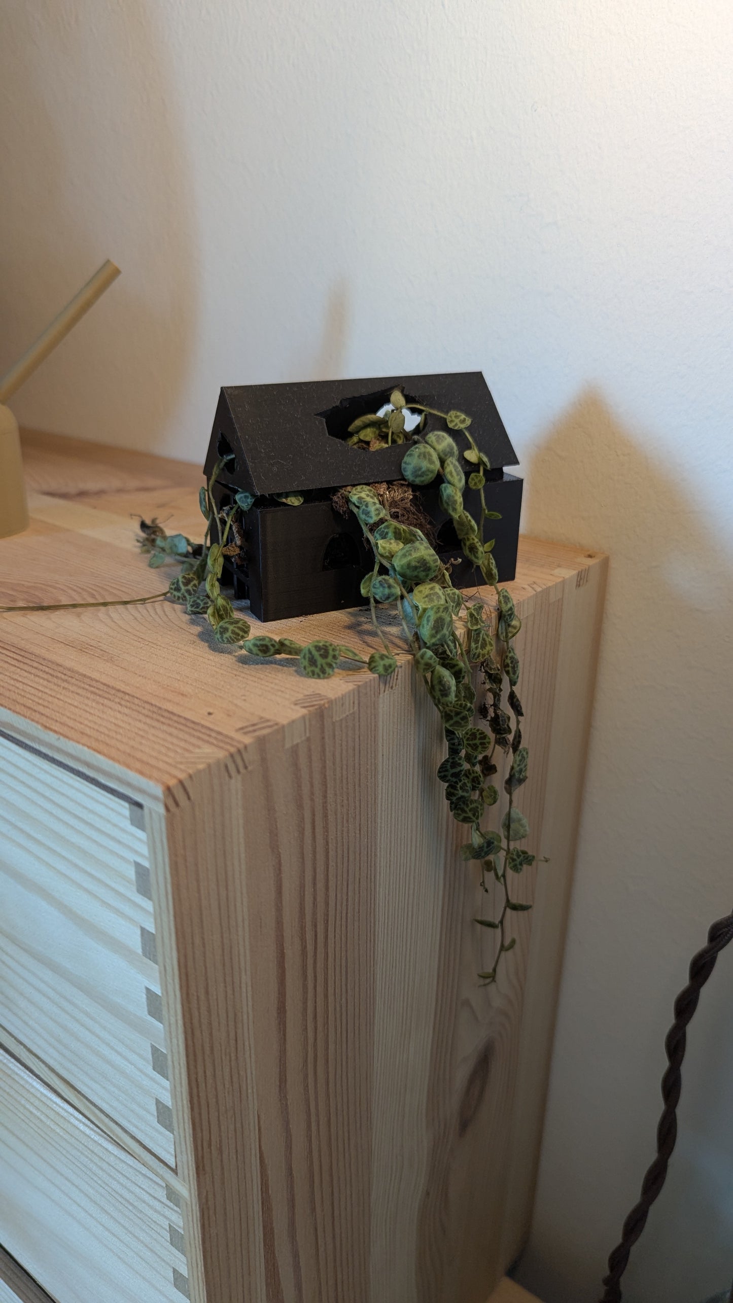 Kleines Gewächshaus für Pflanzen