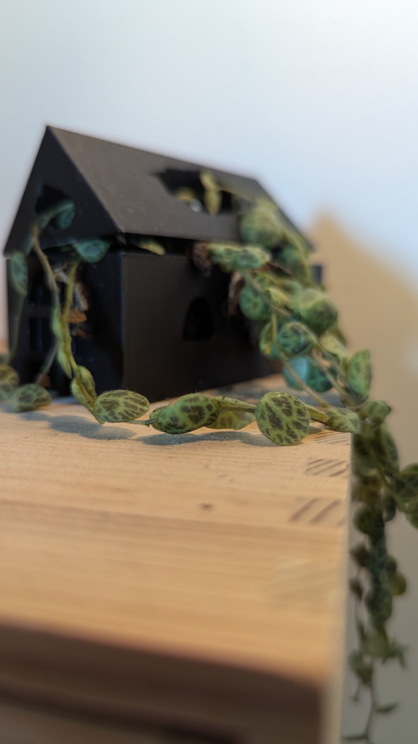 Kleines Gewächshaus für Pflanzen